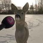 My ClearMic V1 voice changer