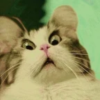 Fry's Official Microphone voice changer