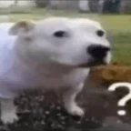 dmonho voice changer