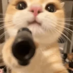 Crisp Default voice changer