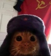 Angry Russian voice changer