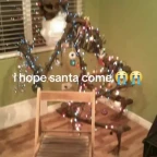 Teapot Treader voice changer