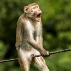 chica rolplay voice changer