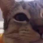 God (copy) voice changer