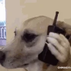 walkieeeeeeeee voice changer