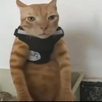 fifine voice changer