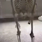 fefefe voice changer