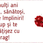 mihaela voice changer