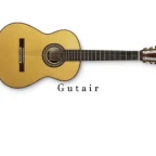 Reverb Gutiare voice changer