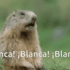 Blanca voice changer