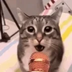 Cheap Microphone voice changer