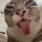 bleh voice changer