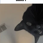 reaper 2 voice changer