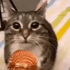 Karaoke voice changer