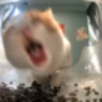 dirt mic voice changer