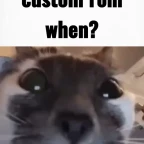 Custom voice changer