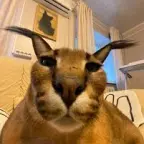 evil jerry (FIXED) voice changer