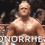 GHONORIEA voice changer