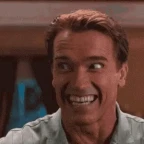Arnie voice changer