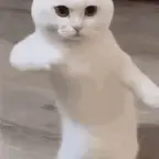 Loud mic voice changer