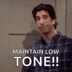 Low Pitch voice changer