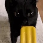 wobble voice changer