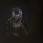 Troodon | Weird Birds voice changer