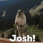 Josh 2 voice changer