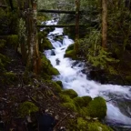 deep natural voice changer