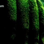 Modification de Torvak voice changer