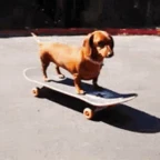 kaykay voice changer