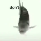 I AM JUST A FISH voice changer