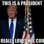 Better county voice changer