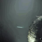 Halo 3 Gravemind voice changer