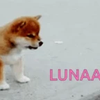 LUNAAAAAA voice changer