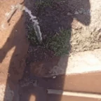 dhktesrthsrhserguytedy voice changer