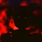 Springtrap voice changer