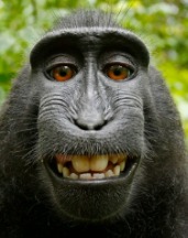 SoundBarrierGone voice changer