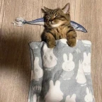 Chemuske voice changer