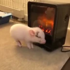 Furnace voice changer