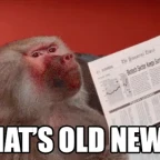 velho novo voice changer