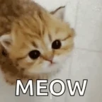 meow voice changer