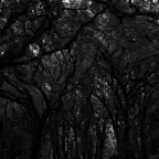 Russian Operative voice changer