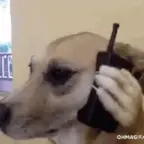 Walkie-Talkie voice changer