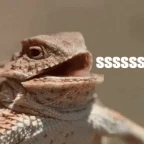 girl voice ig voice changer