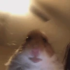 hamster voice changer
