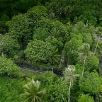 ZugaWaru voice changer