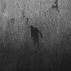 Deep Echo voice changer