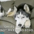 JUST ECHO voice changer