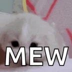 mew mew voice changer